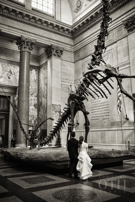 Loulie Walker Events: Museum of Natural History, NYC