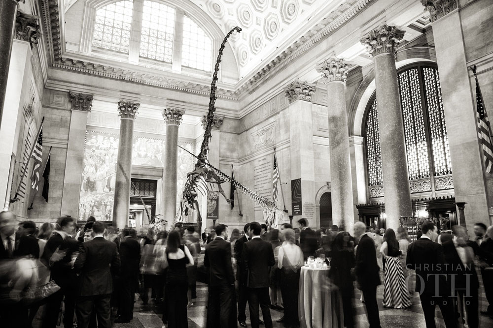 Loulie Walker Events: Museum of Natural History, NYC