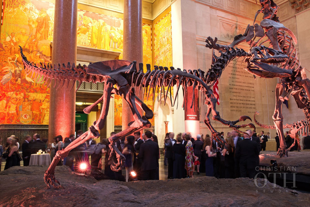 Loulie Walker Events: Museum of Natural History, NYC