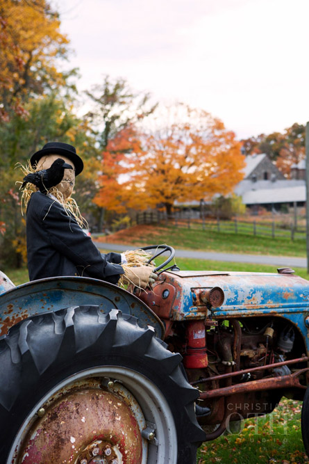 Loulie Walker Events: Blue Hill at Stone Barns, Pocantico Hills, NY